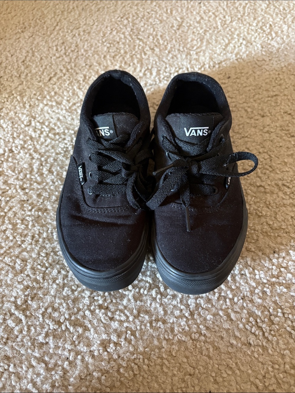 Vans All-Black Low Top Canvas Sneakers